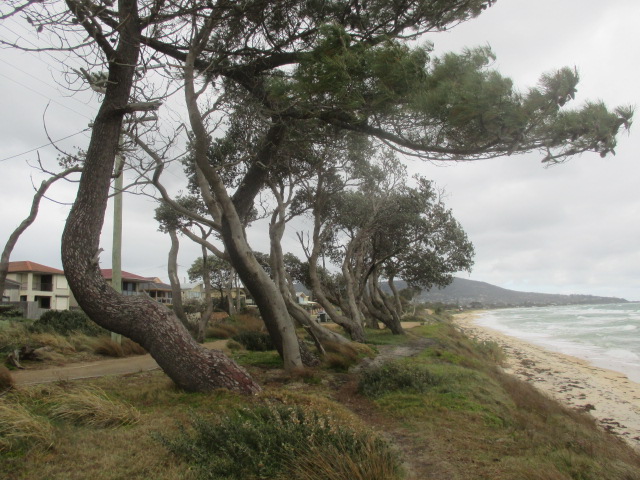 Dromana Beach