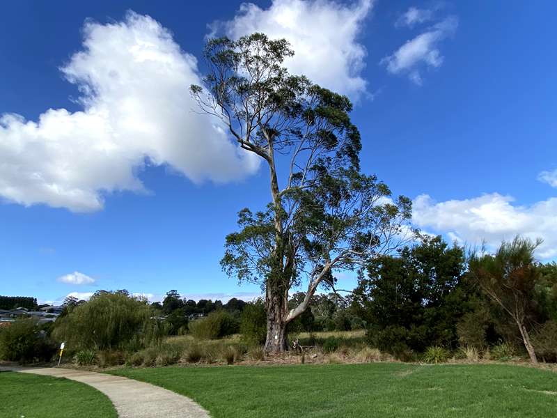 Drouin - McNeilly Wetlands Walk