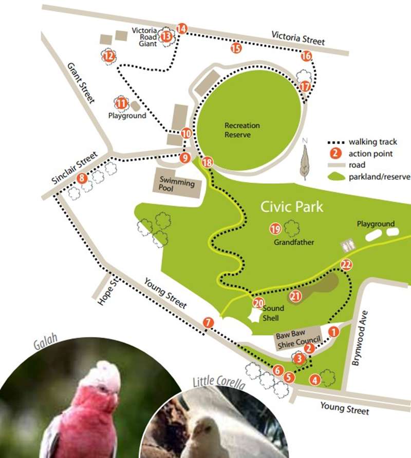 <H4>Drouin - Civic Park & Recreation Reserve Tree Map</H4>