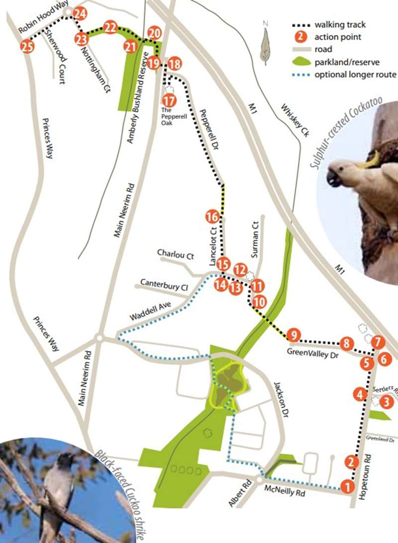 <H4>Drouin - The Big Tree Walk Map</H4>