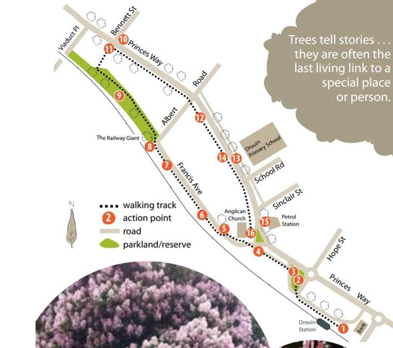 <H4>Drouin - Town Centre Tree Walk Map</H4>