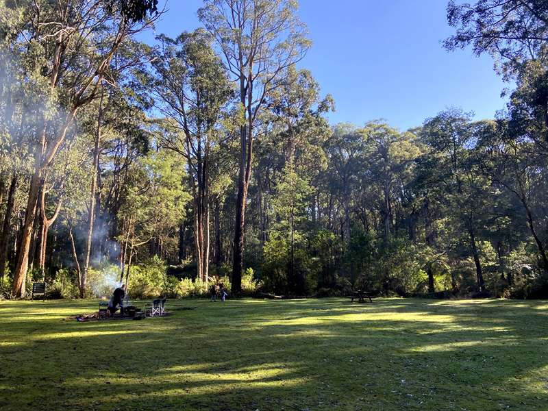 Eagle Nest Loop Walk (Olinda)