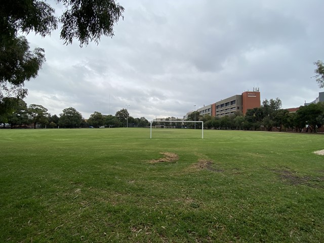 East Caulfield Reserve Dog Off Leash Area (Caulfield East)