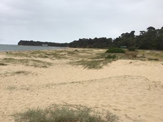 East Creek Beach (Point Leo)