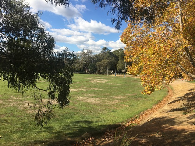 East Ringwood Reserve Dog Off Leash Area (Ringwood East)