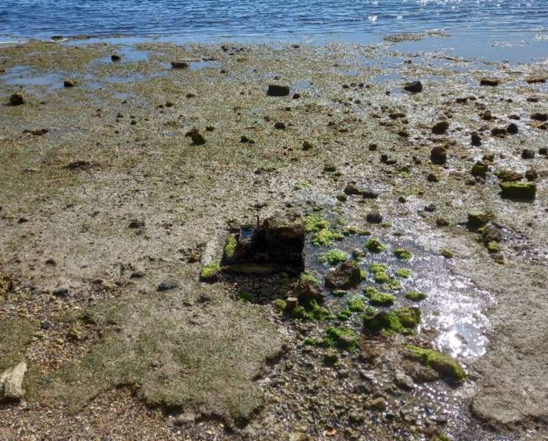 Eastern Beach Reserve Mineral Spring
