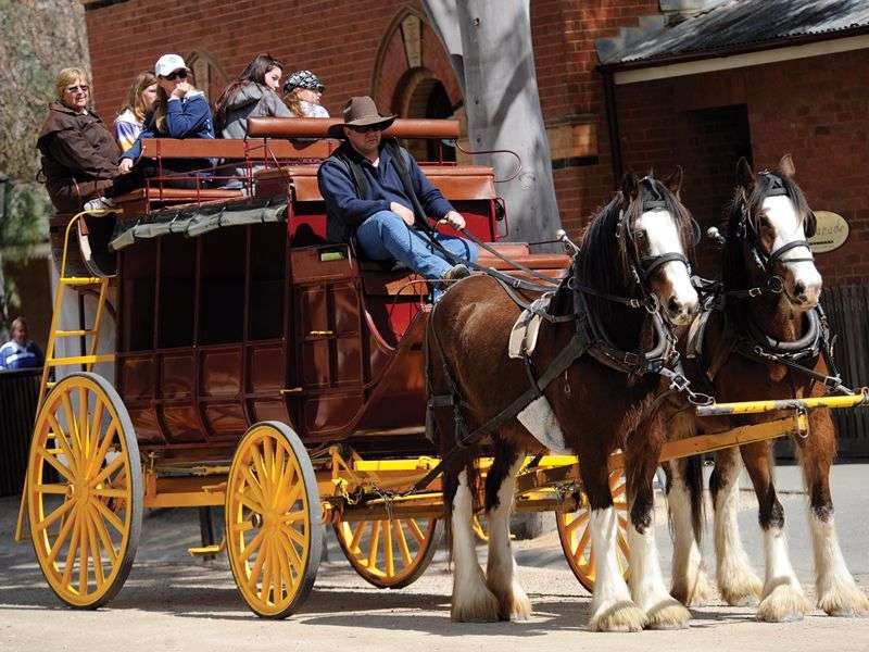 Echuca - Port of Echuca Carriages