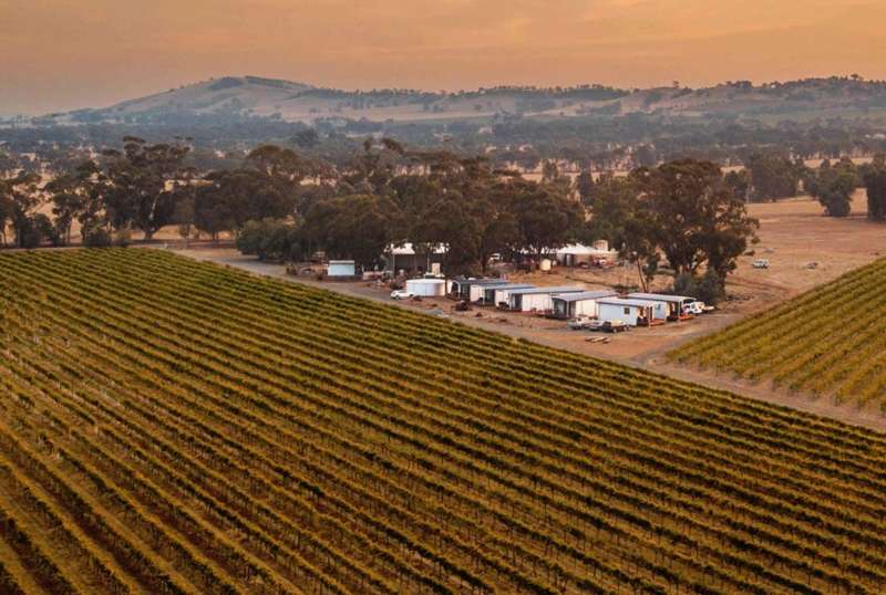 Echuca Region Wineries