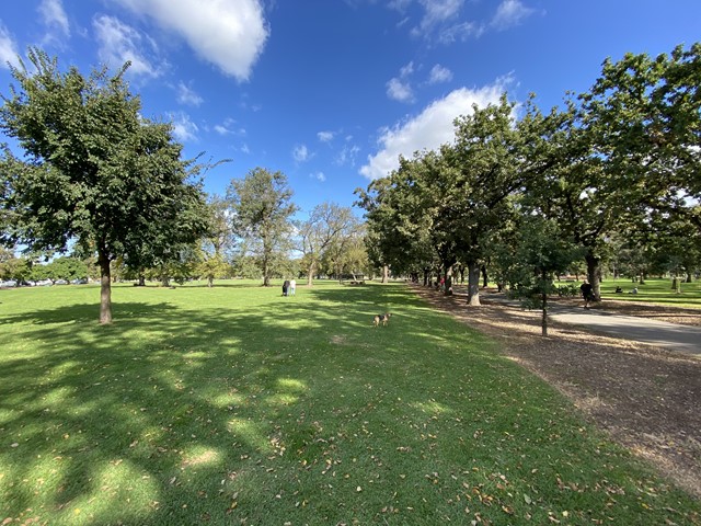 Edinburgh Gardens Dog Off Leash Area (Fitzroy North)