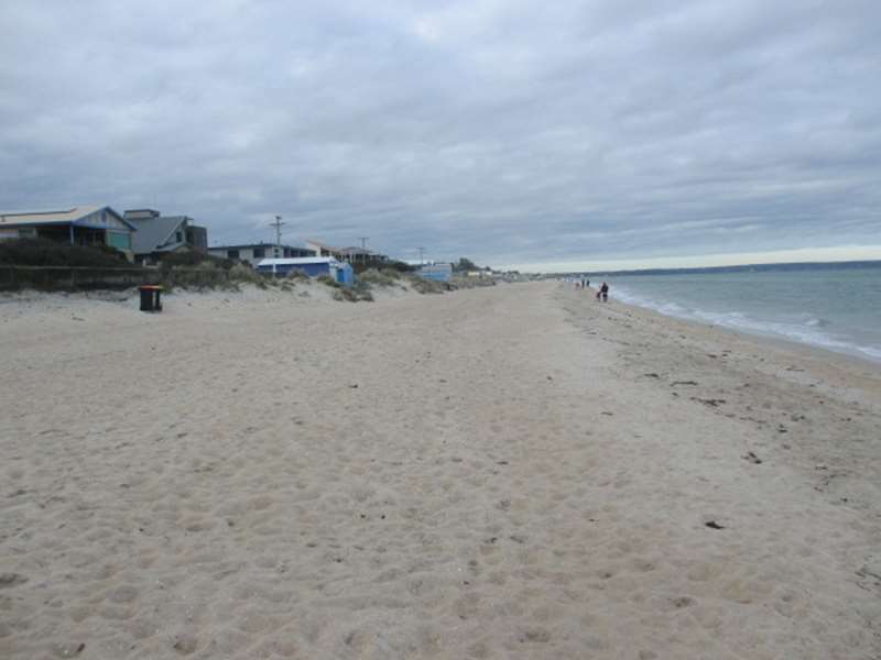 Edithvale Beach Dog Off Leash Area (Edithvale)