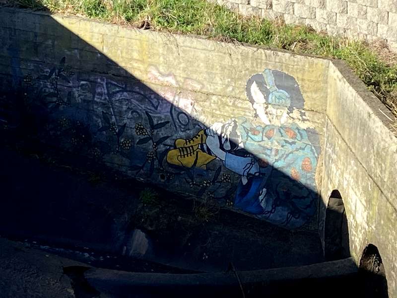 Edwardes Lake and Edgars Creek Wetlands Walk (Reservoir)