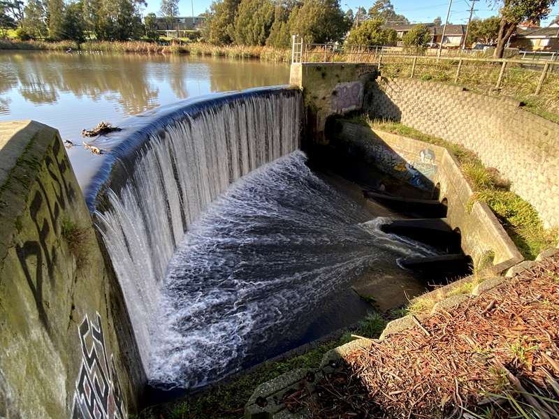Edwardes Lake and Edgars Creek Wetlands Walk (Reservoir)