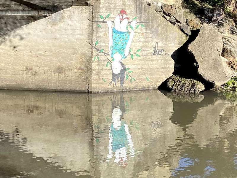 Edwardes Lake and Edgars Creek Wetlands Walk (Reservoir)