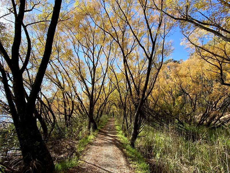 Eildon Lower Pondage Walk