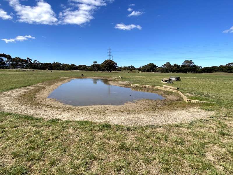 Westcoast Adult Riding Club (Lara)