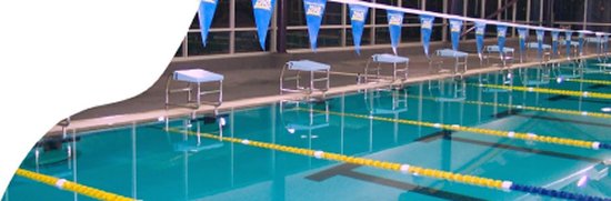 Elite Swimming Performance (Pascoe Vale)