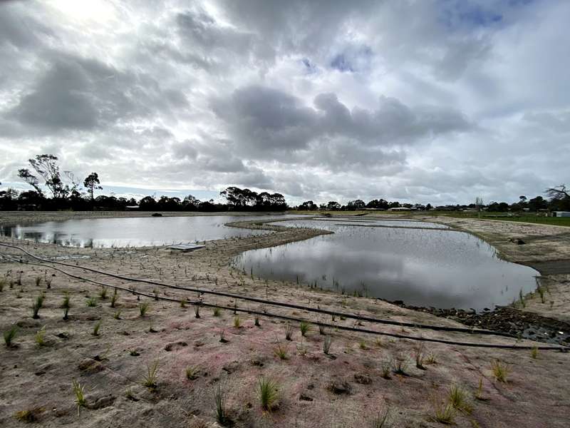 Elliminyt Wetlands