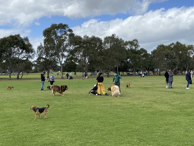 Elsternwick Park Dog Off Leash Area (Brighton)