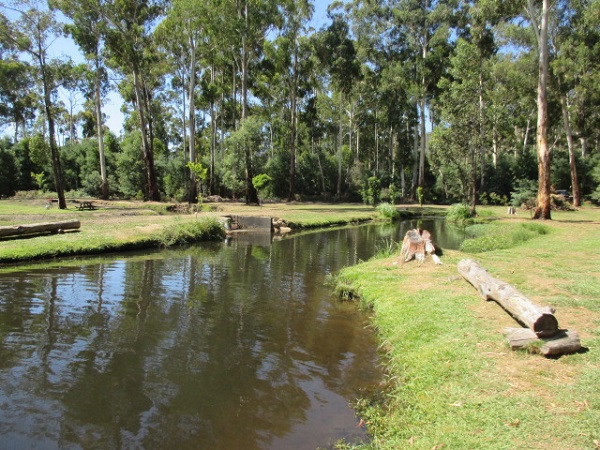 Buxton Trout & Salmon Farm