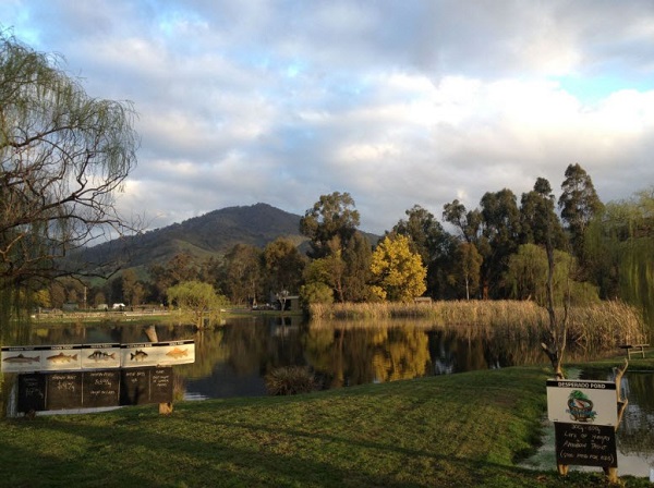 Trout and Salmon Farms in Victoria - Blogs