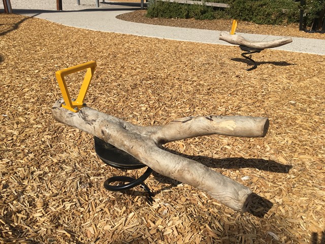 Frankston Regional Foreshore Playground, Frankston