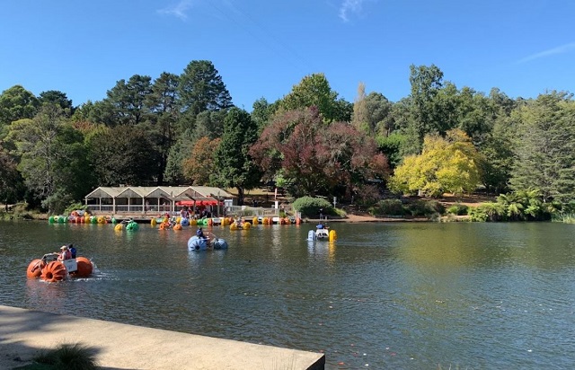 Emerald Lake Paddleboats (Emerald)