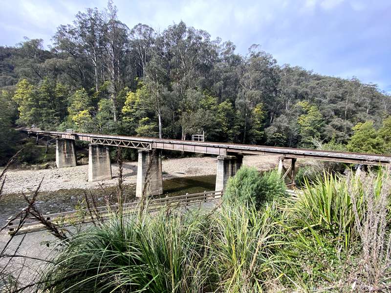 Erica - Thomson Rail Trail