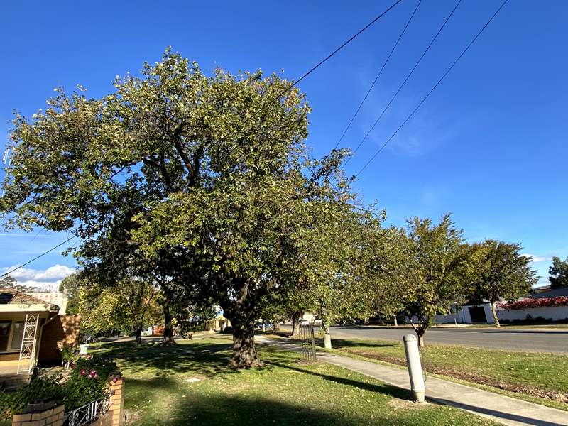 Euroa Heritage Trail