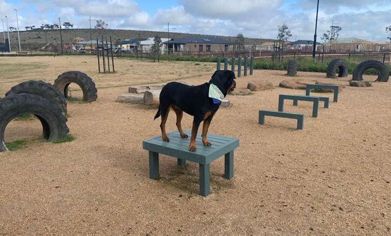 Eynesbury Recreation Reserve Fenced Dog Park (Eynesbury)