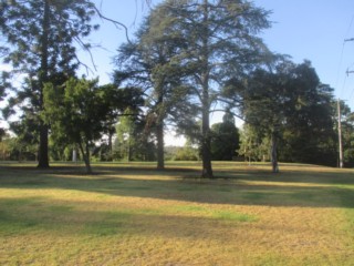 Fairfield Park Dog Off Leash Area (Fairfield)