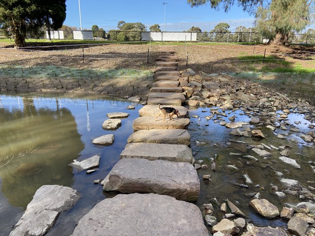 Fairpark Reserve Dog Off Leash Area (Ferntree Gully)