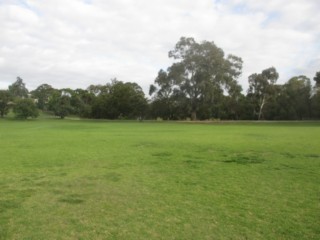 Fairview Park Dog Off Leash Area (Hawthorn)