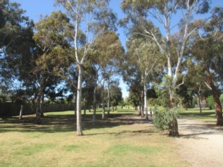 Farm Road Reserve Fenced Dog Park (Cheltenham)