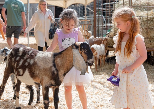 Farmer Darryls Mobile Animal Farm