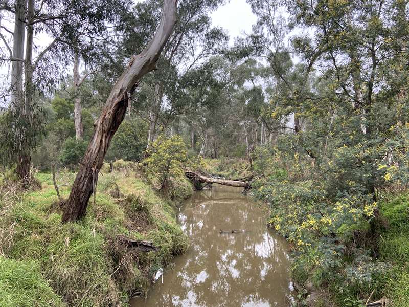 Fauna, Foals and Fruit Walk (Donvale)