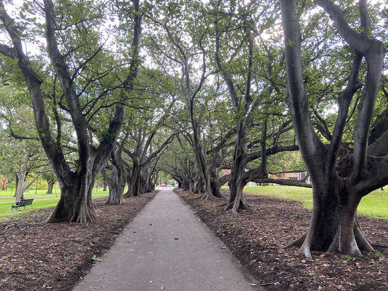 Fawkner Park (South Yarra)