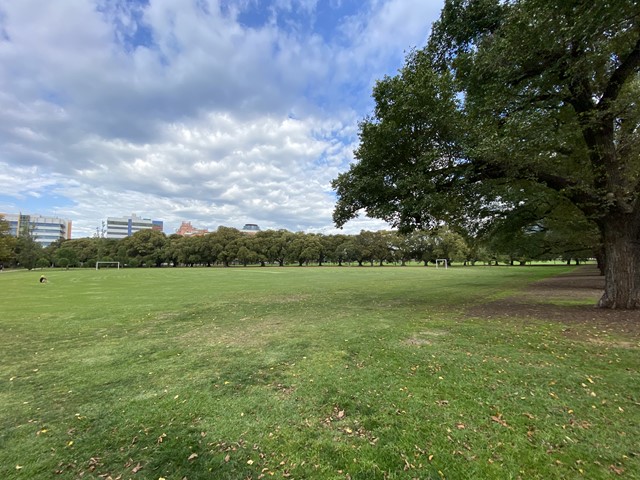 Fawkner Park Dog Off Leash Area (South Yarra)