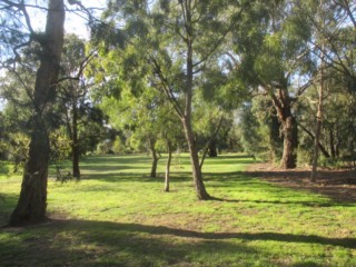 Federal Reserve Dog Off Leash Area (Mount Waverley)