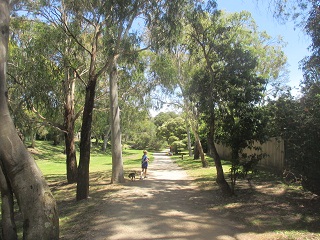 Ferndale Park Trail (Glen Iris)