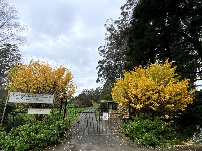 Ferny Creek Bushland Reserve Walk (Sassafras)