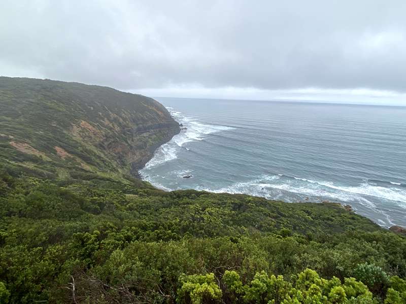 Fingal Beach Walk Via Fingal Track (Cape Schanck)