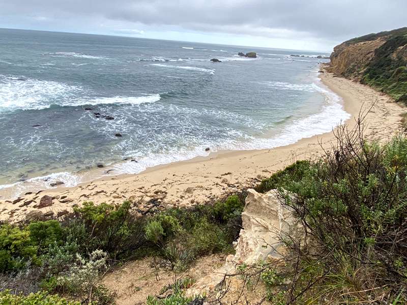 Fingal Beach Walk Via Fingal Track (Cape Schanck)