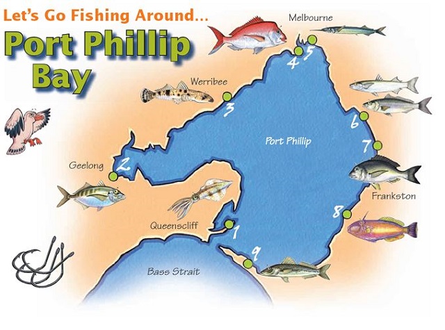 The Best Fishing Spots for Families in Melbourne Port Phillip Bay