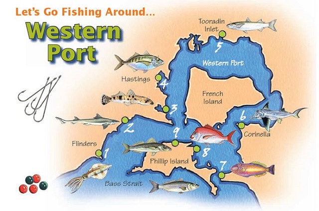 The Best Fishing Spots for Families in Melbourne Port Phillip Bay