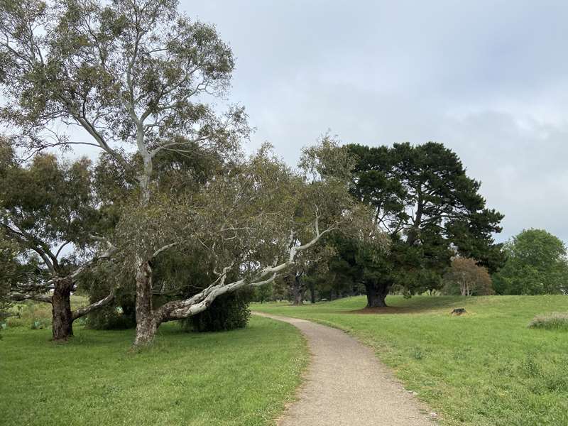 Five Mile Creek Reserve Walk Dog Off Leash Area (Romsey)