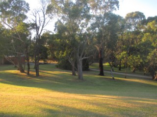Forest Hill Reserve Dog Off Leash Area (Forest Hill)