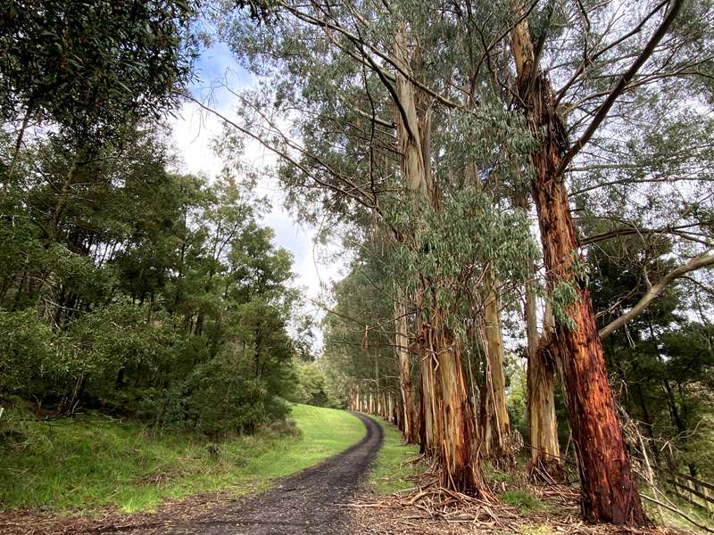 Forrest - West Barwon Reservoir