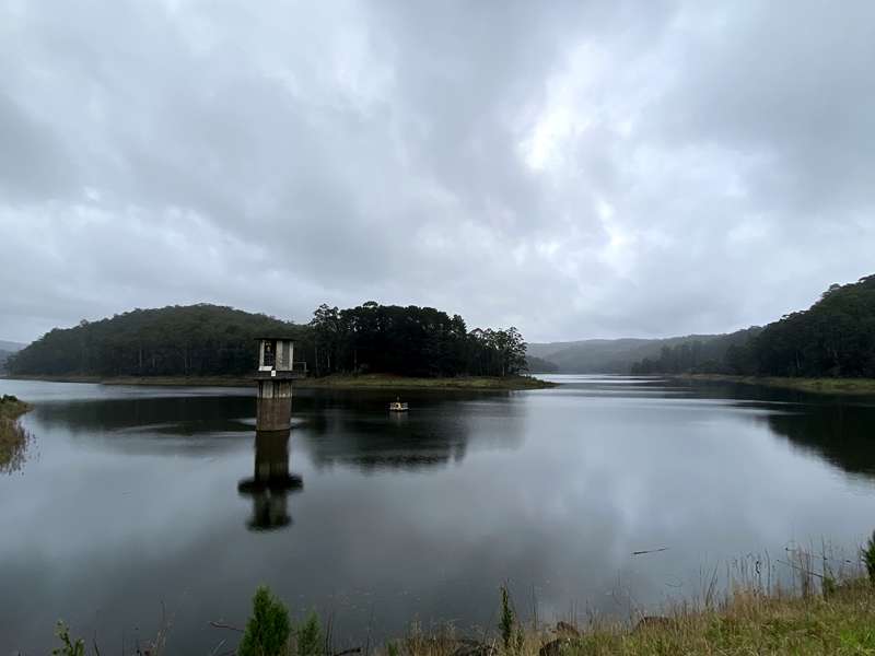 Forrest - West Barwon Reservoir