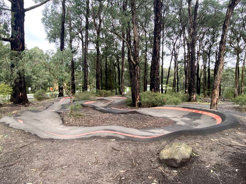 Forrest Mountain Bike Trails