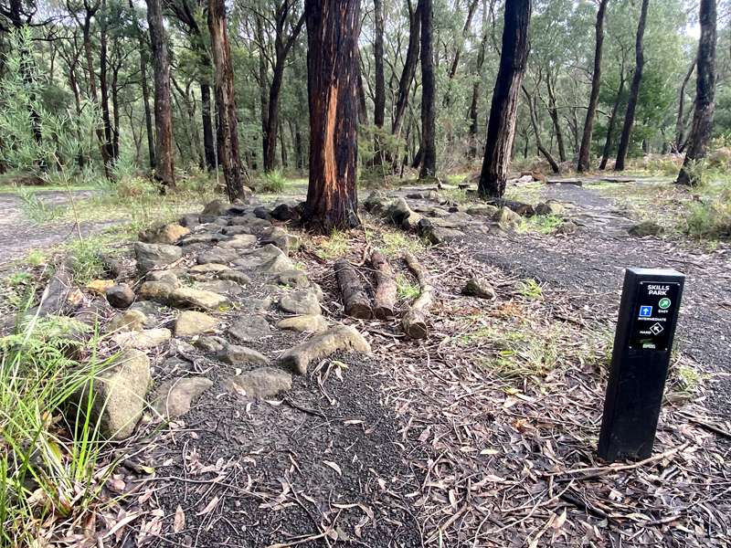 Forrest Mountain Bike Trails